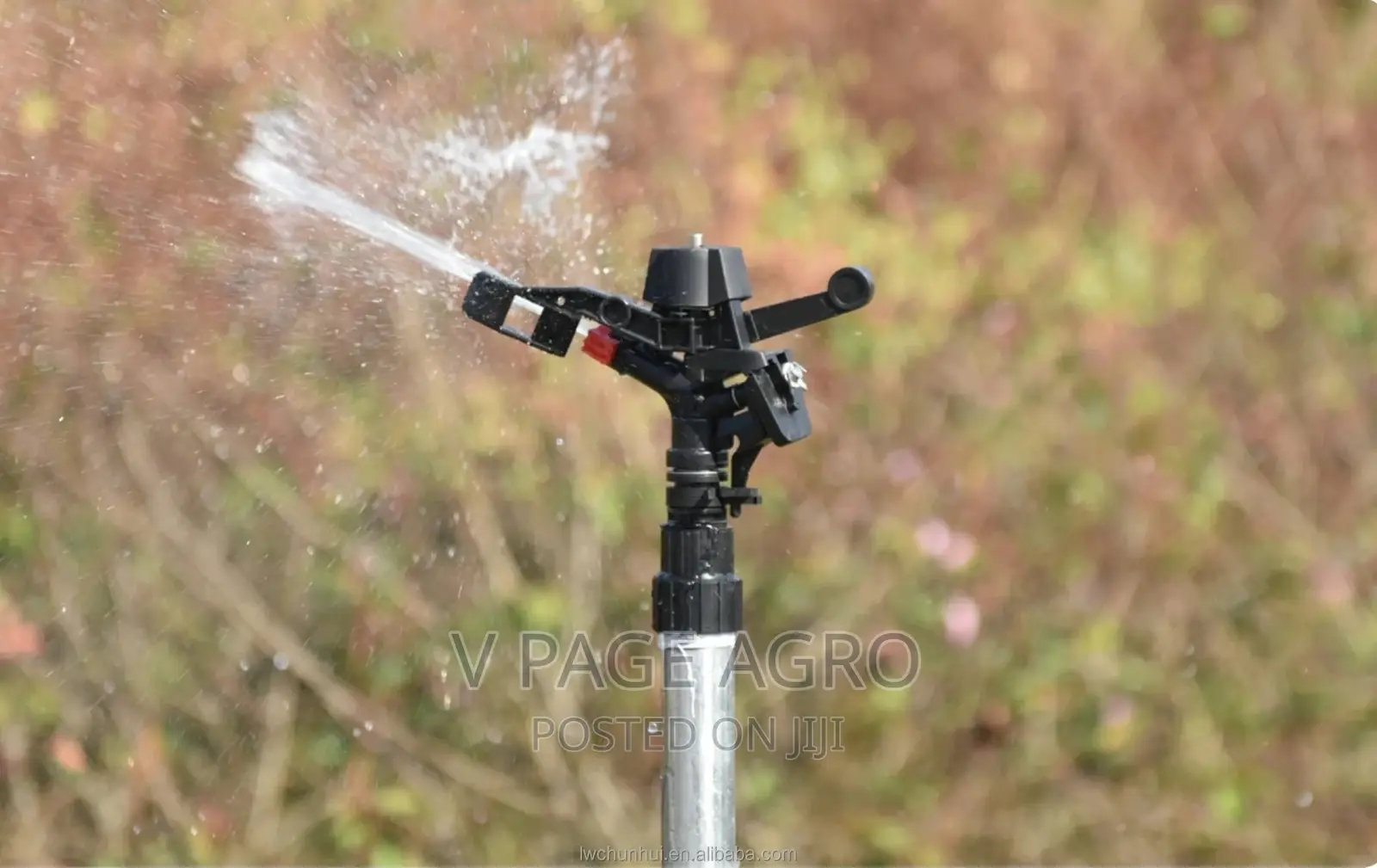Sprinkler Head