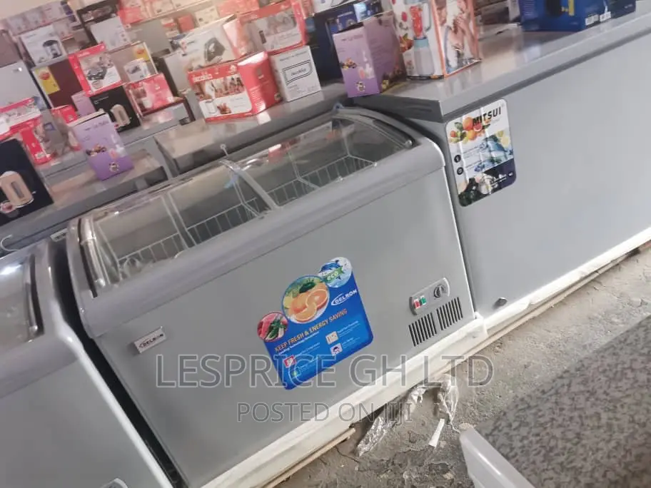 Delron 258L High Quality Freezer
