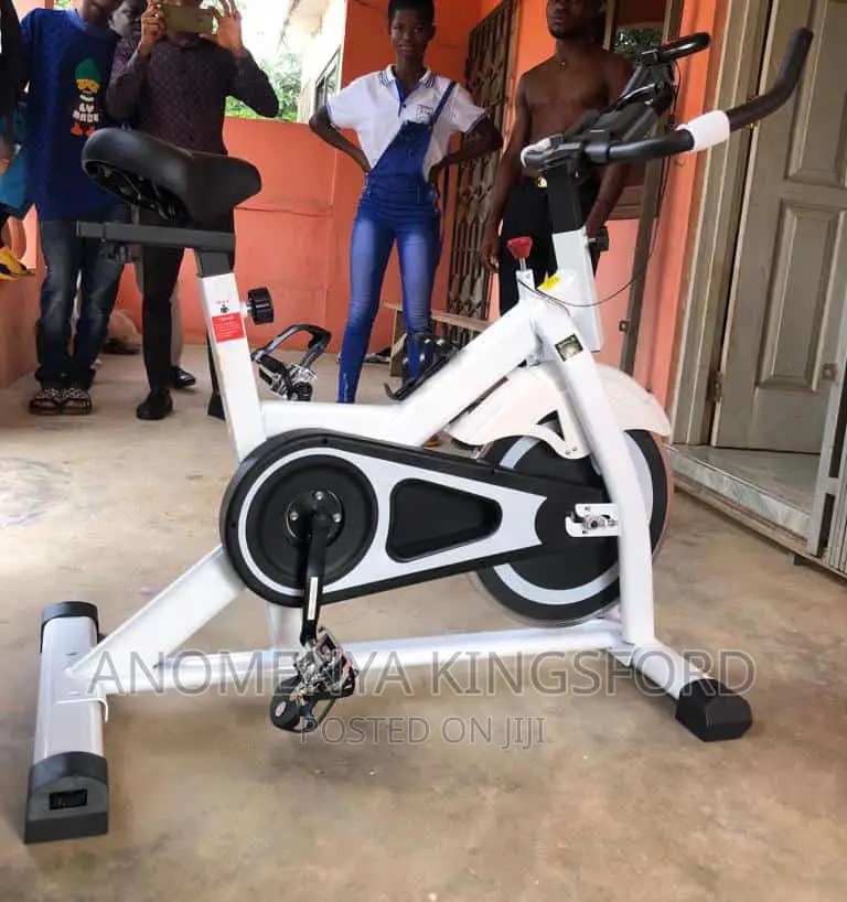 Exercise Bike (195kg)