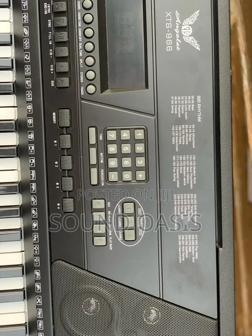 Angelet 61 Key Digital Piano Touch Electronic Keyboard