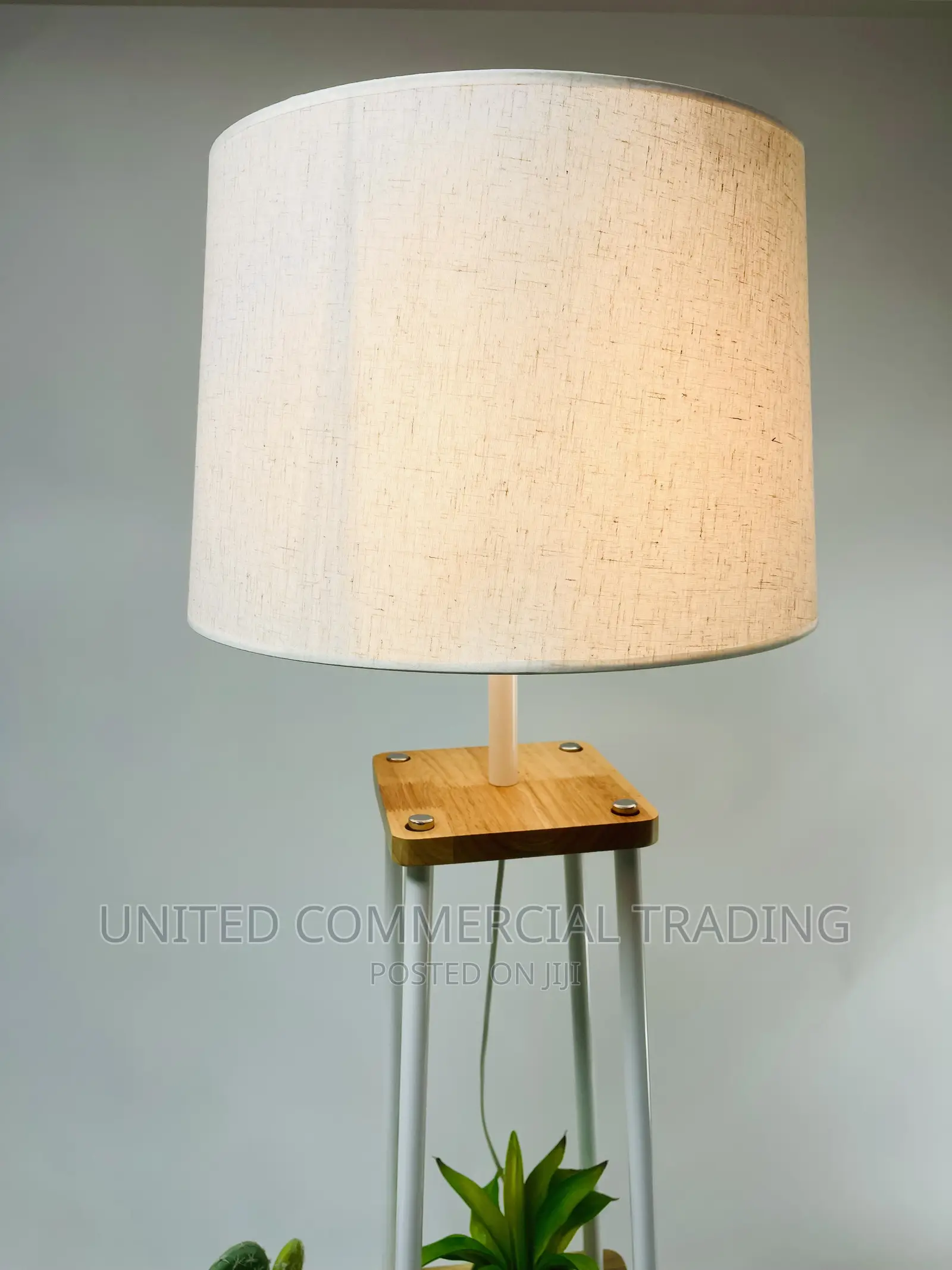 Floor/Standing Lamp