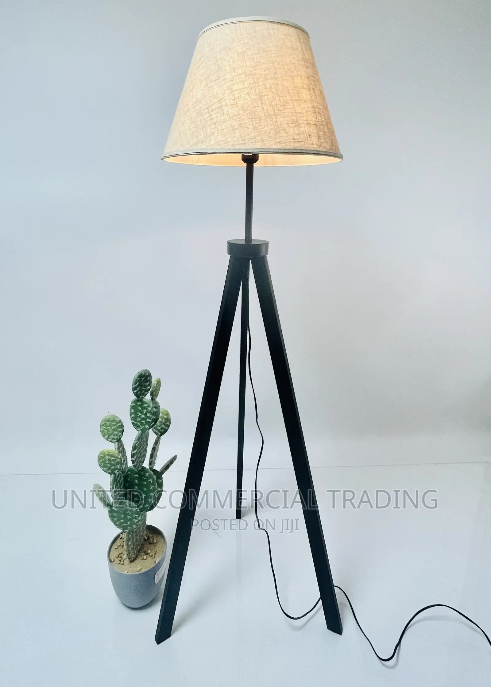 Floor/Standing Lamp