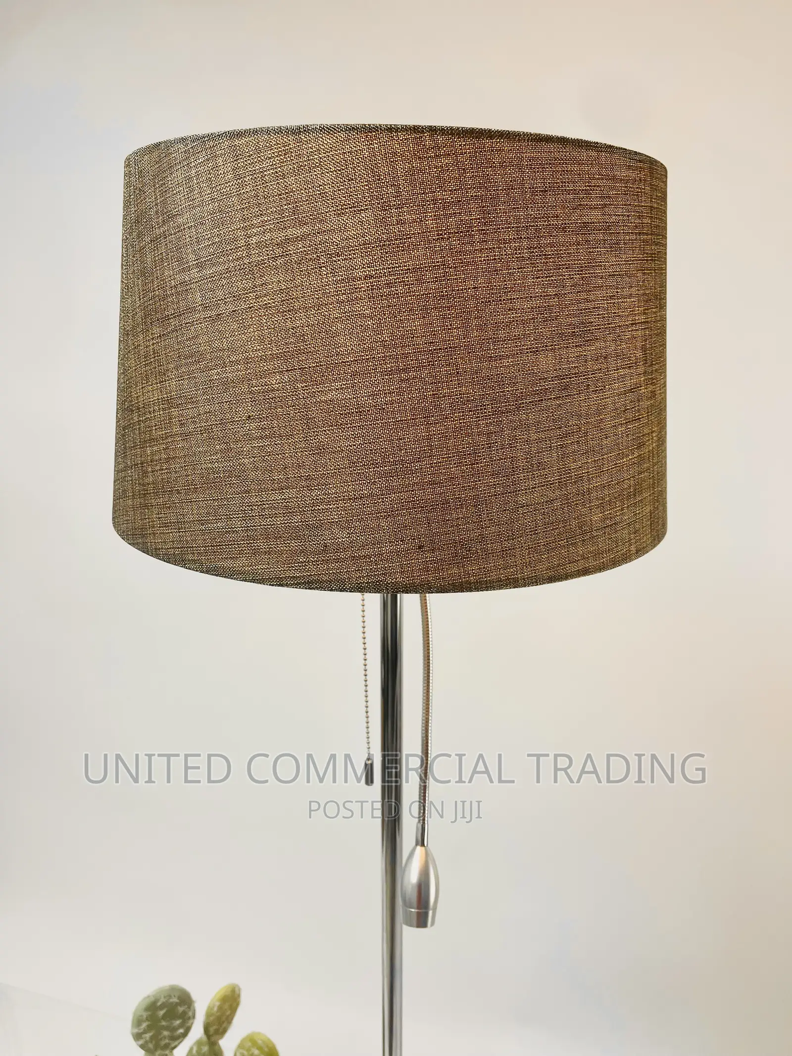Floor/Standing Lamp