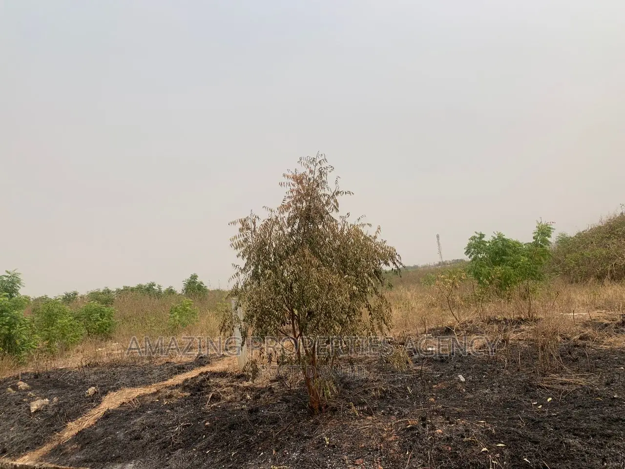 One Acre Land for Sale at Pantang