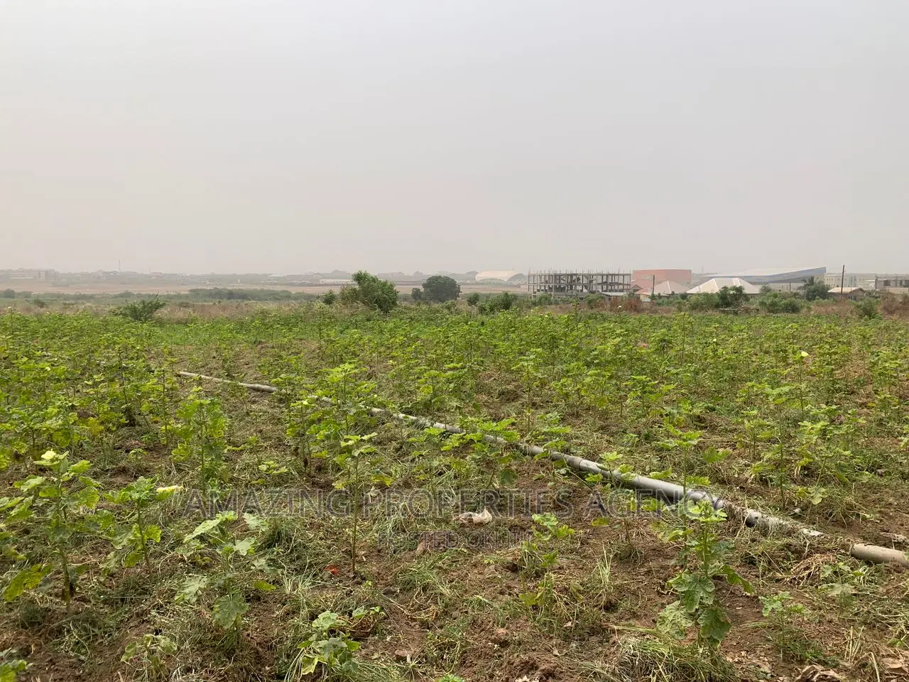 One Acre Land for Sale at Pantang