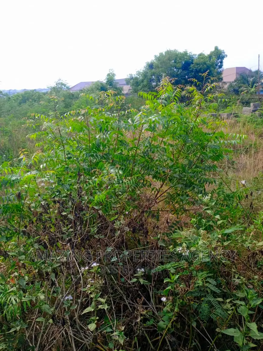 Commercial Land for Sale at Spintex