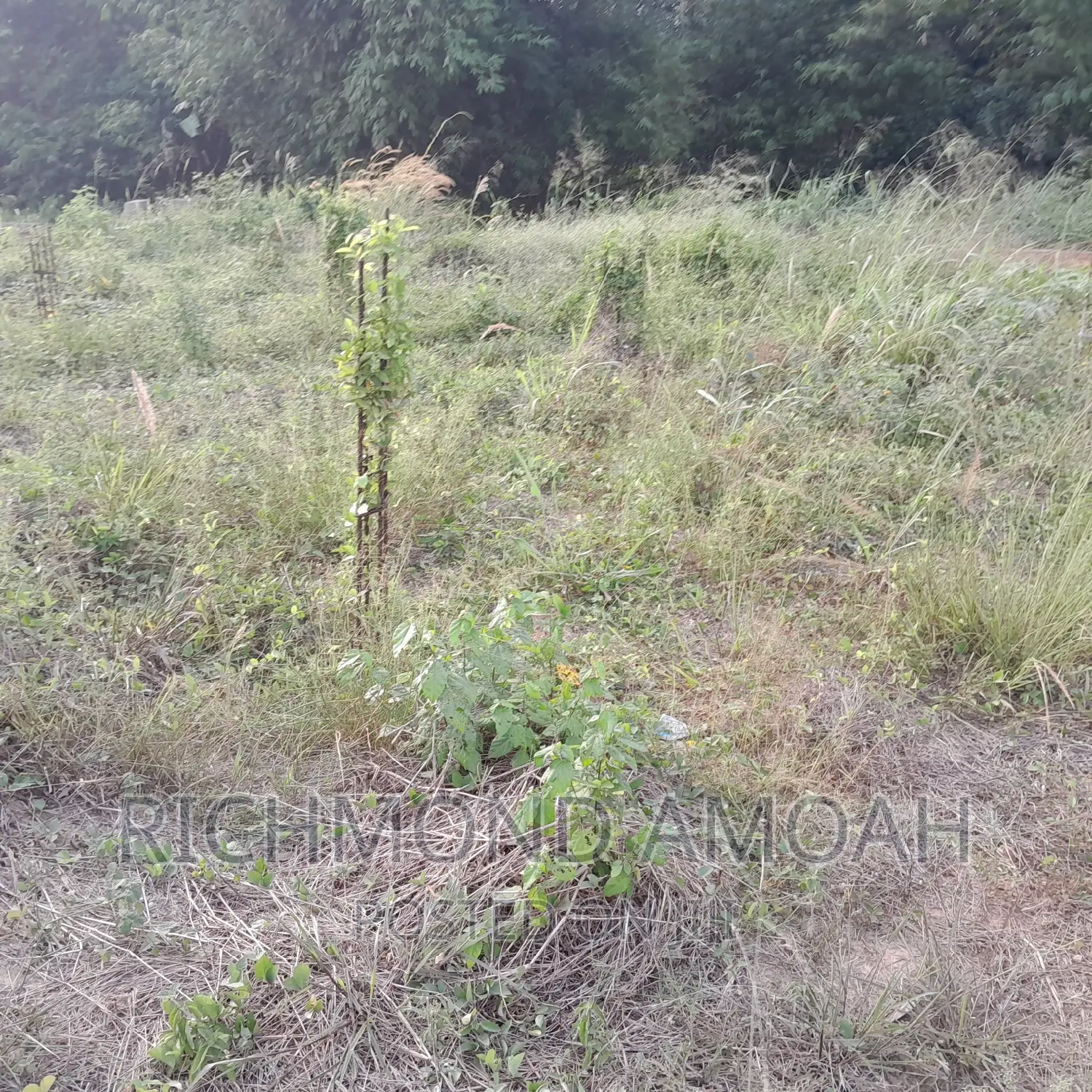 Land With 4bedrooms Footings for Sale at Queen of Peace