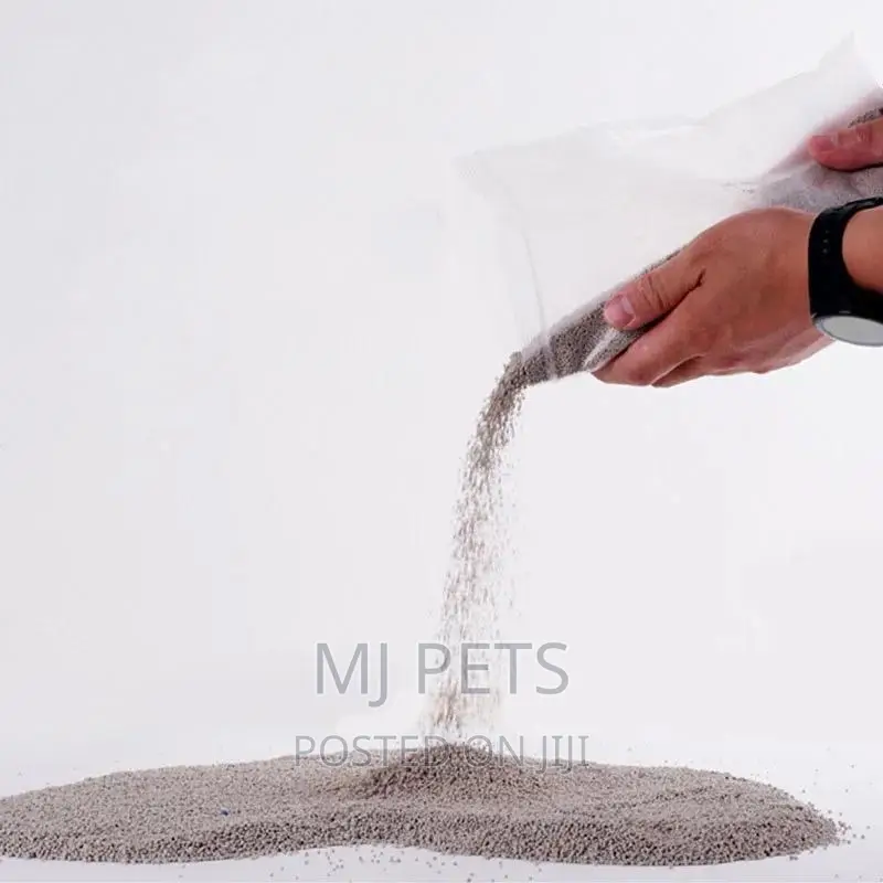 Bentonite Cat Litter Sand 10l