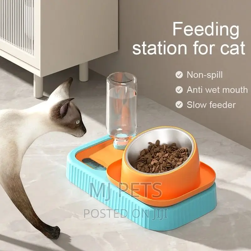 Combined Pet Feeder 3 in 1