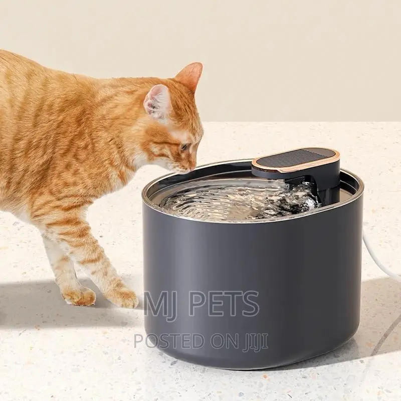 Electronic Pet Water Dispenser