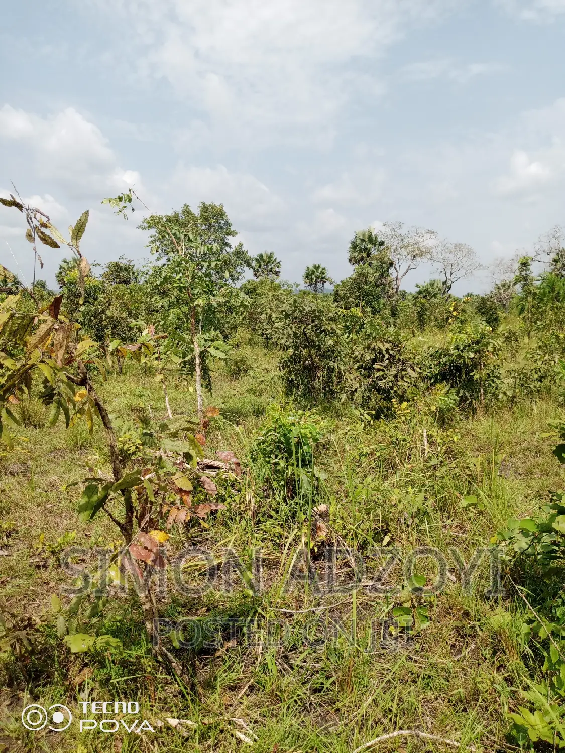 10,000 Acres of Farm Land for Sale or Lease