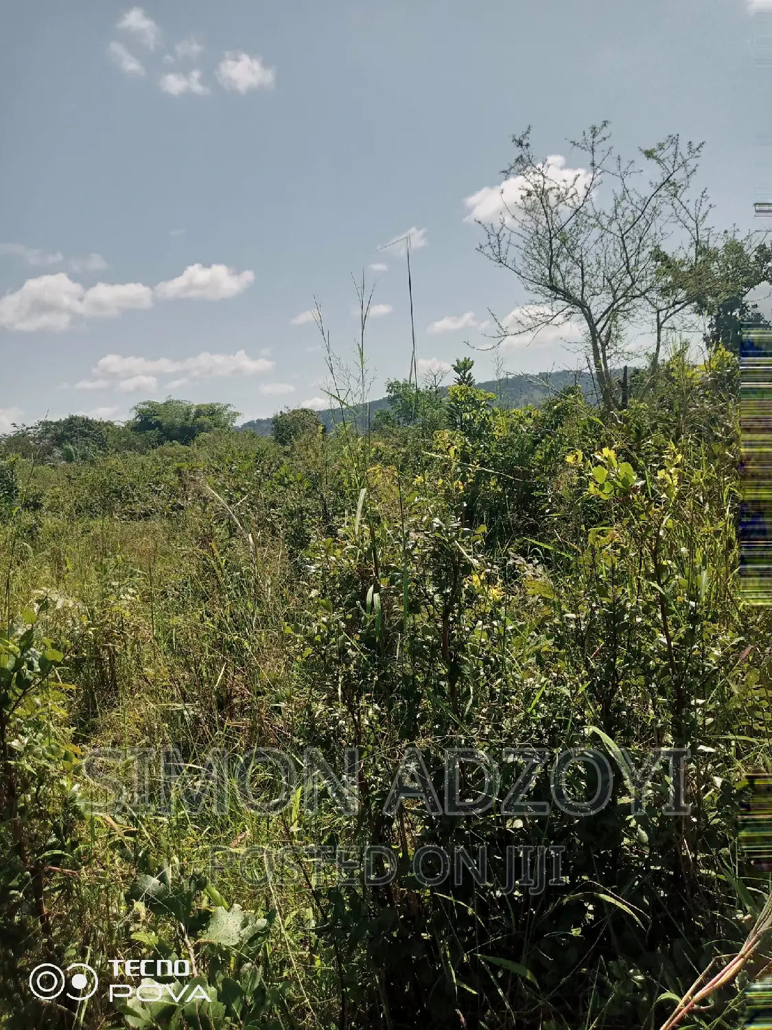 10,000 Acres of Farm Land for Sale or Lease