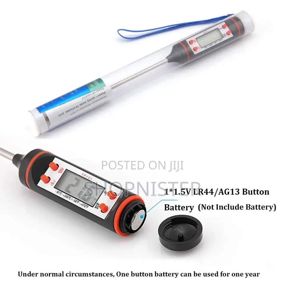 Portable Probe Thermometer