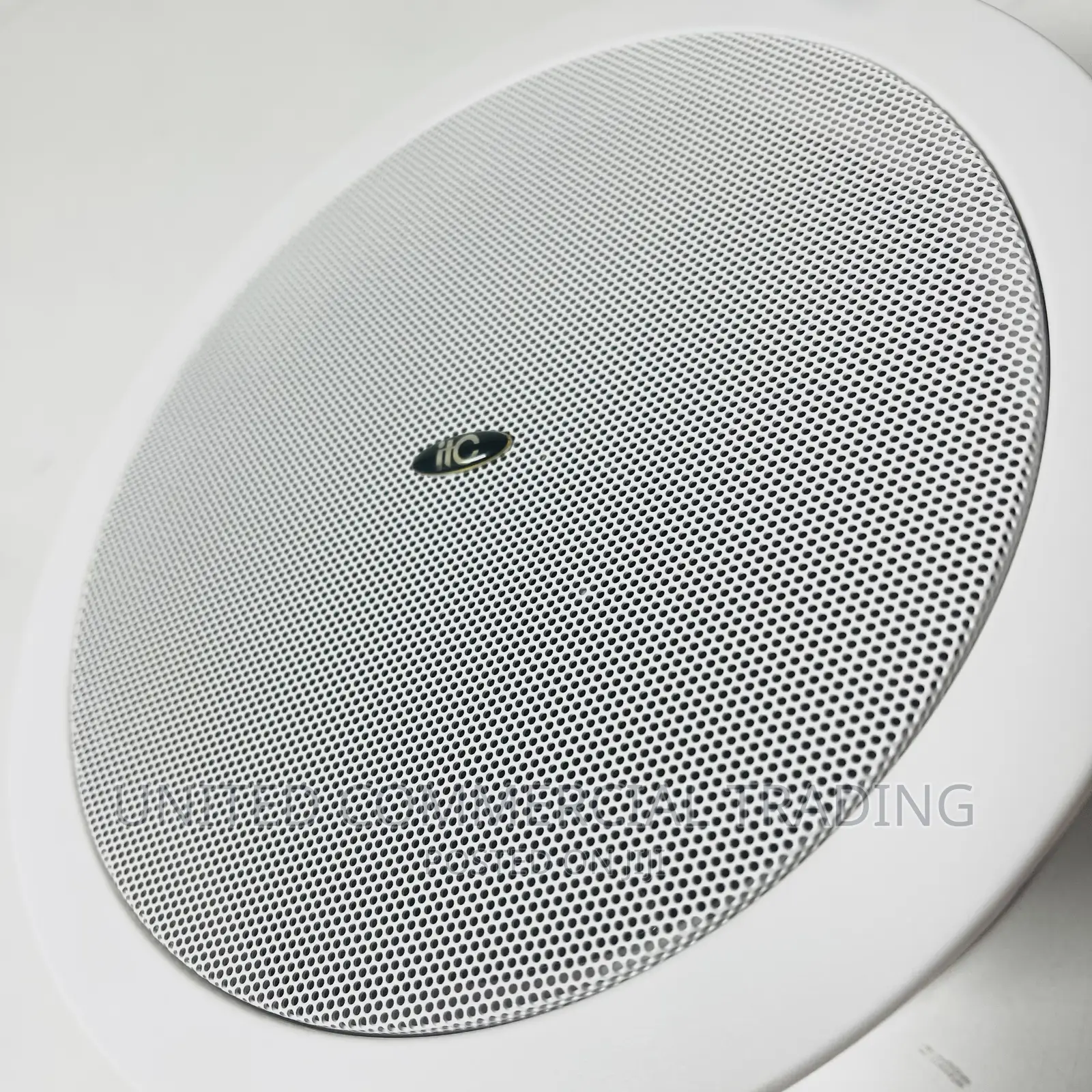 Ceiling Speaker