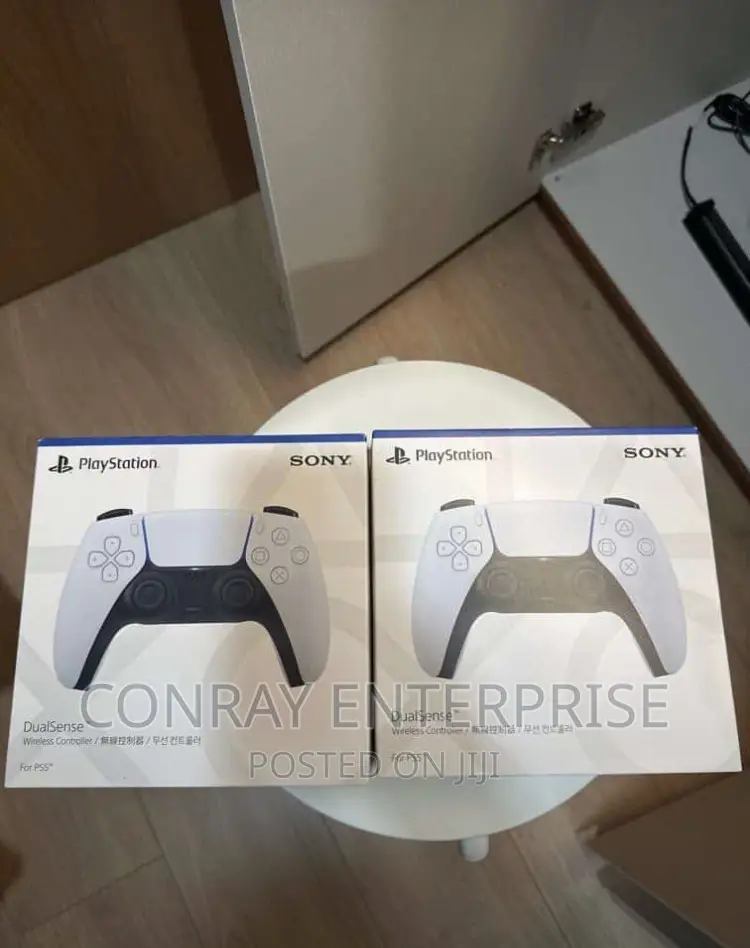 Playstation 5 Dualsense Controller.