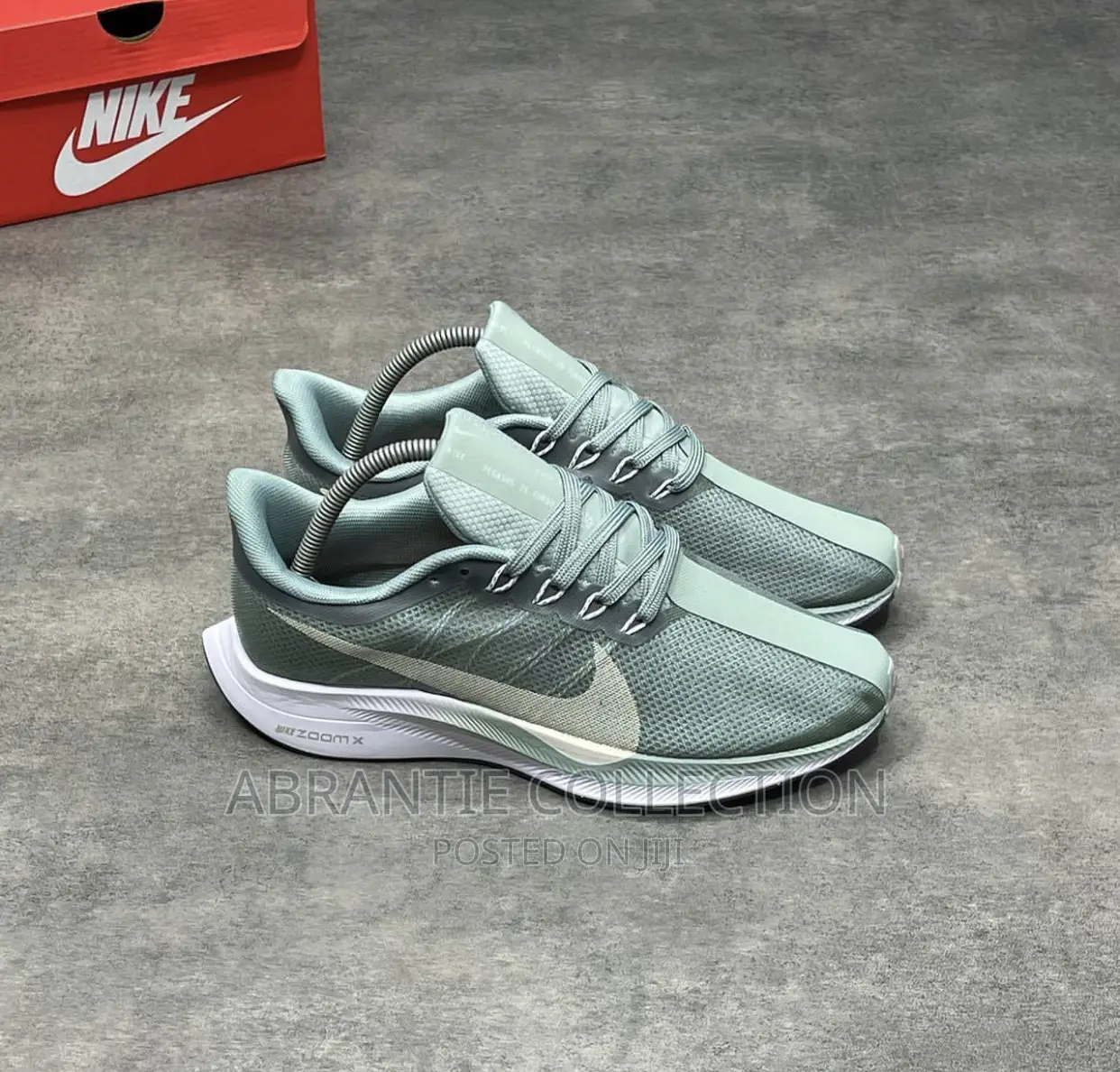 Nike Zoom Pegasus