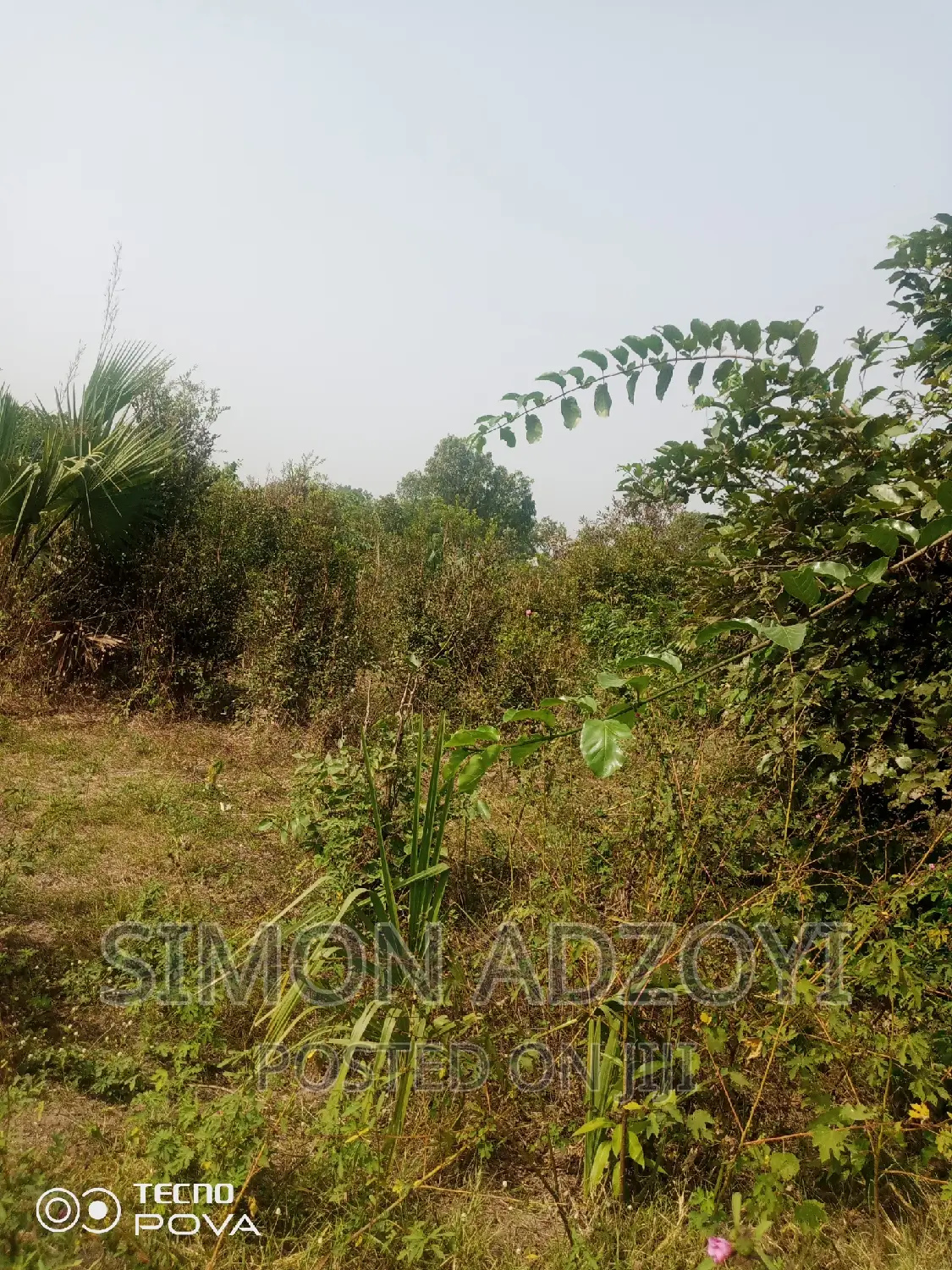 60,000 Acres of Farm Land in Kintampo