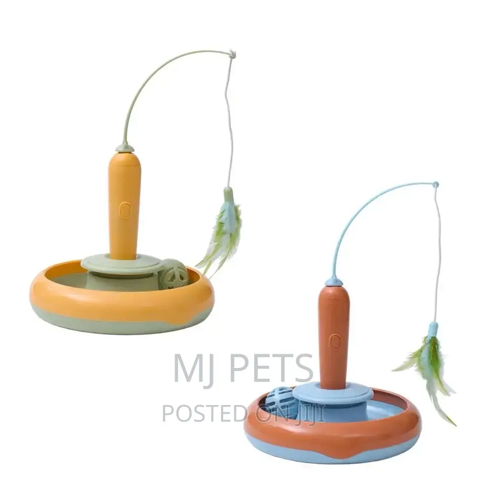Play Toy for Cats N Puppies