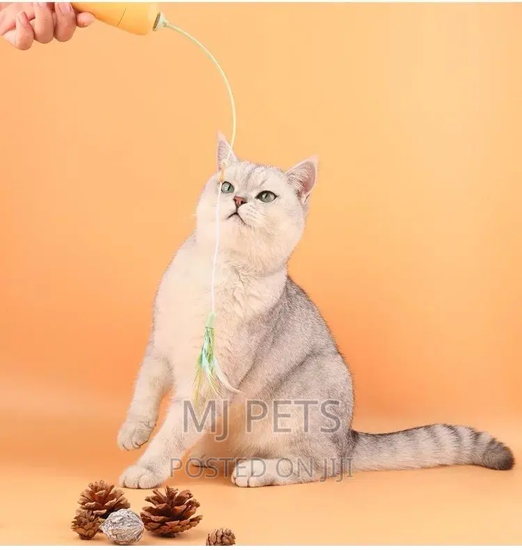Play Toy for Cats N Puppies