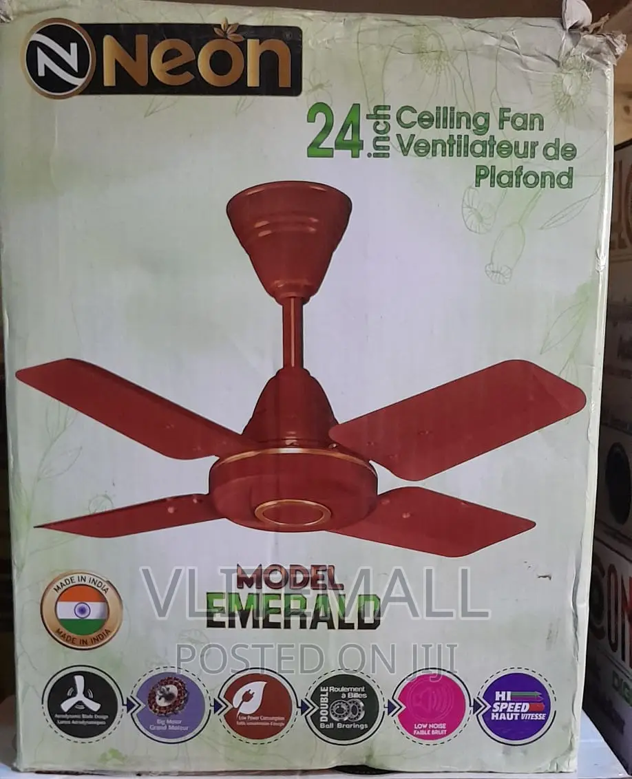 Neon 24'' Ceiling Fan