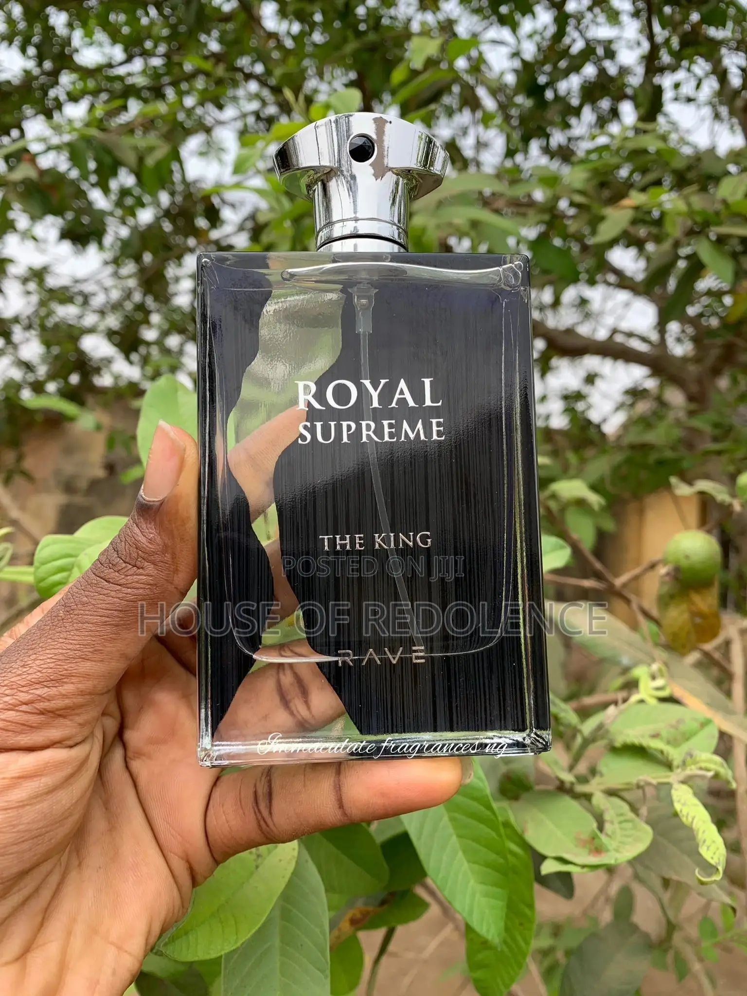 Royal Supreme the King EDP 100ML by RAVE