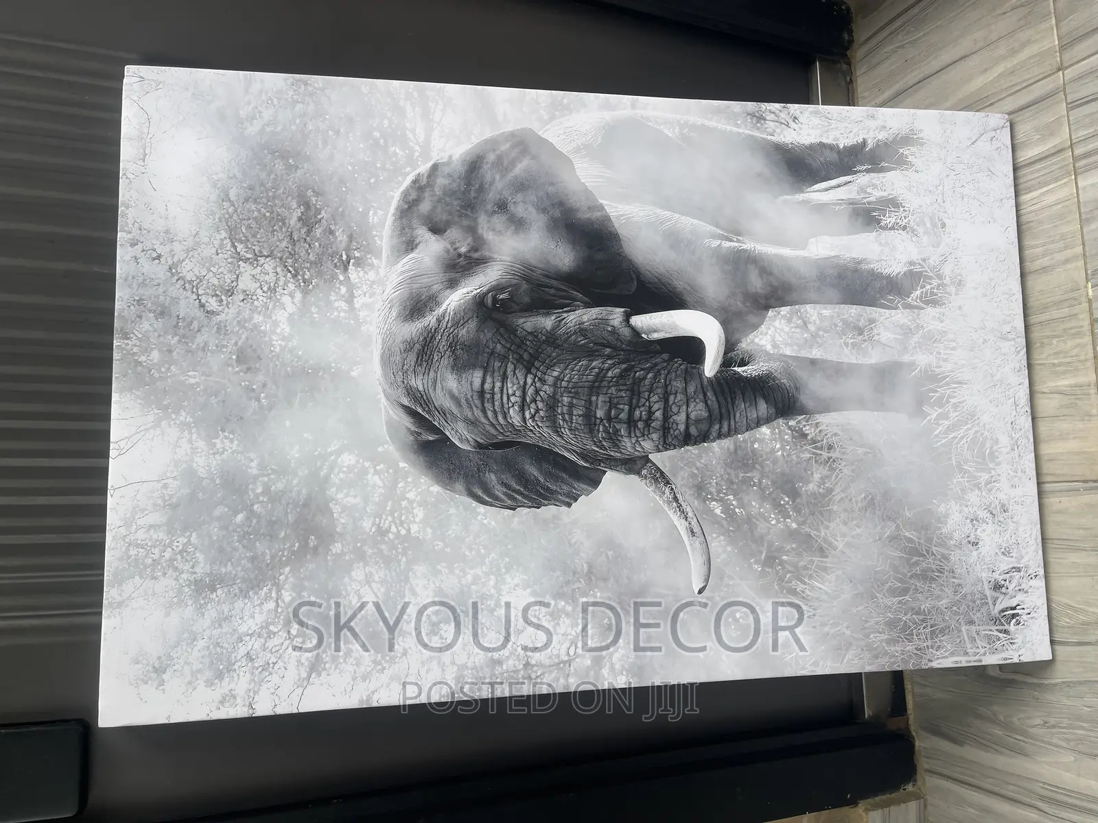Wall Canvas Art