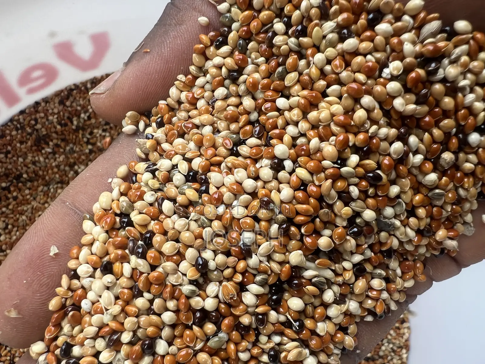 1kg Bird, Parrot Feed/ Seed - Budgies, Cockatiels, Lovebirds, Canaries