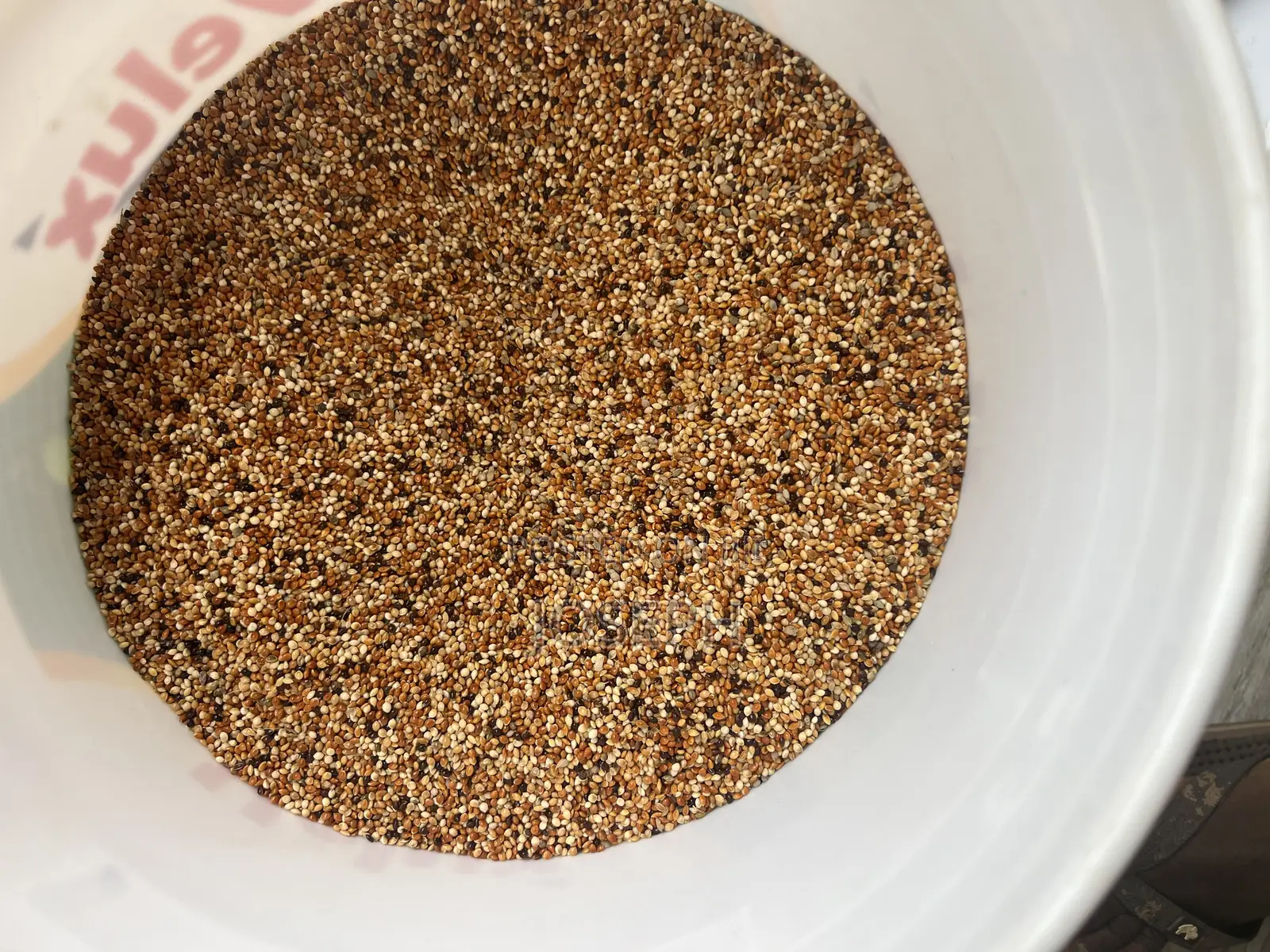 1kg Bird, Parrot Feed/ Seed - Budgies, Cockatiels, Lovebirds, Canaries
