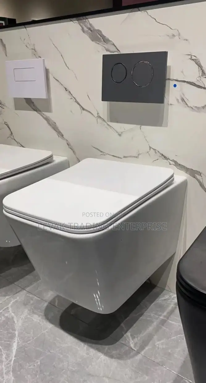 Concealed Wall Mounted Toilet Bowl - Hanging Wc
