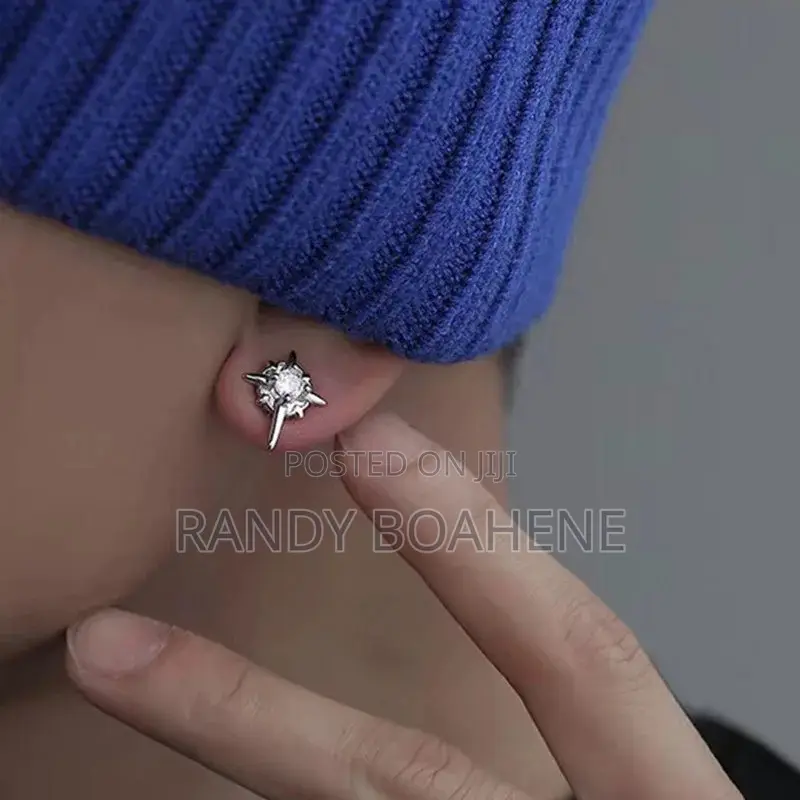 North Star Magnetic Earring