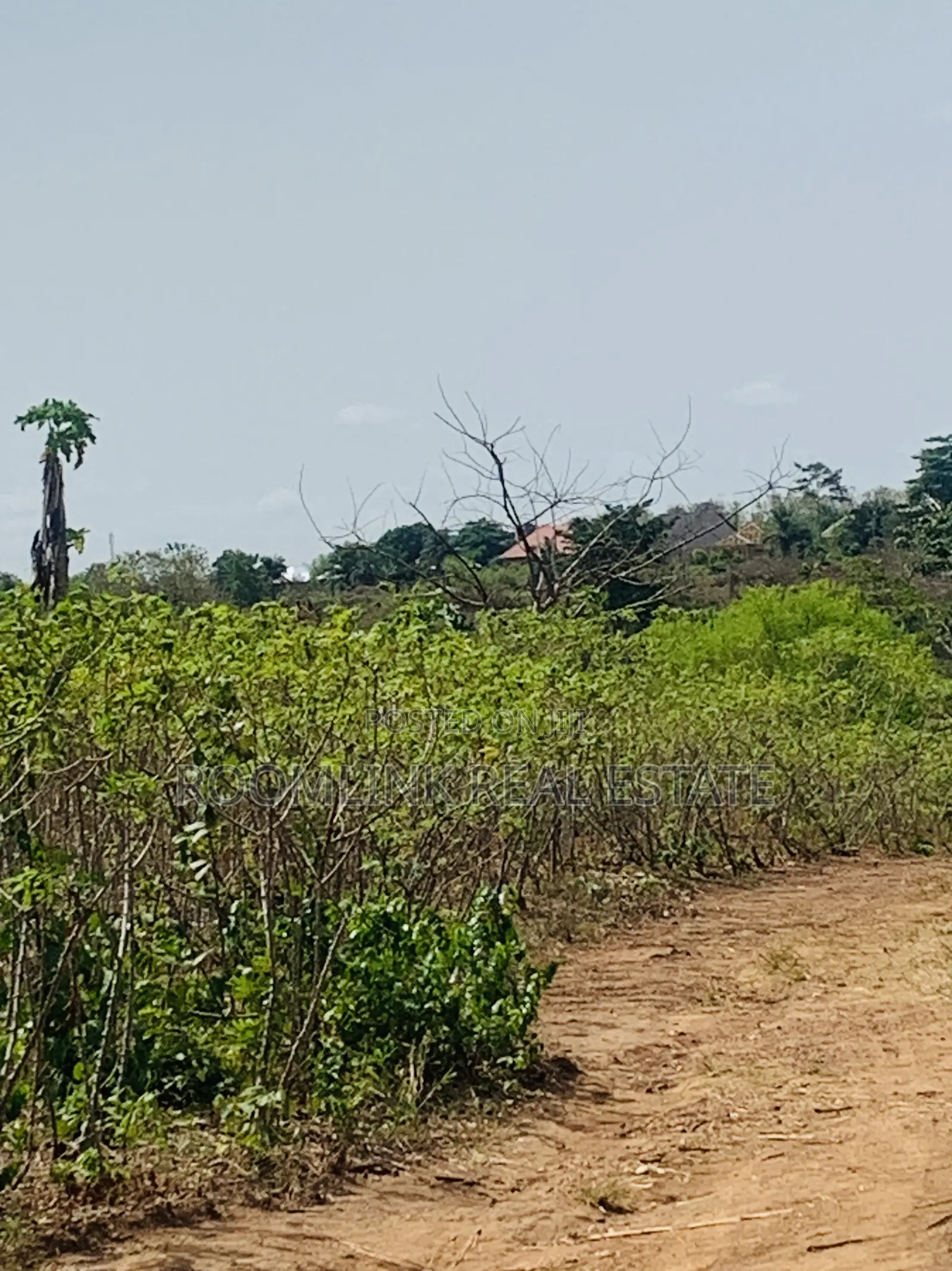 Affordable Land at Sunyani Catholic University Area