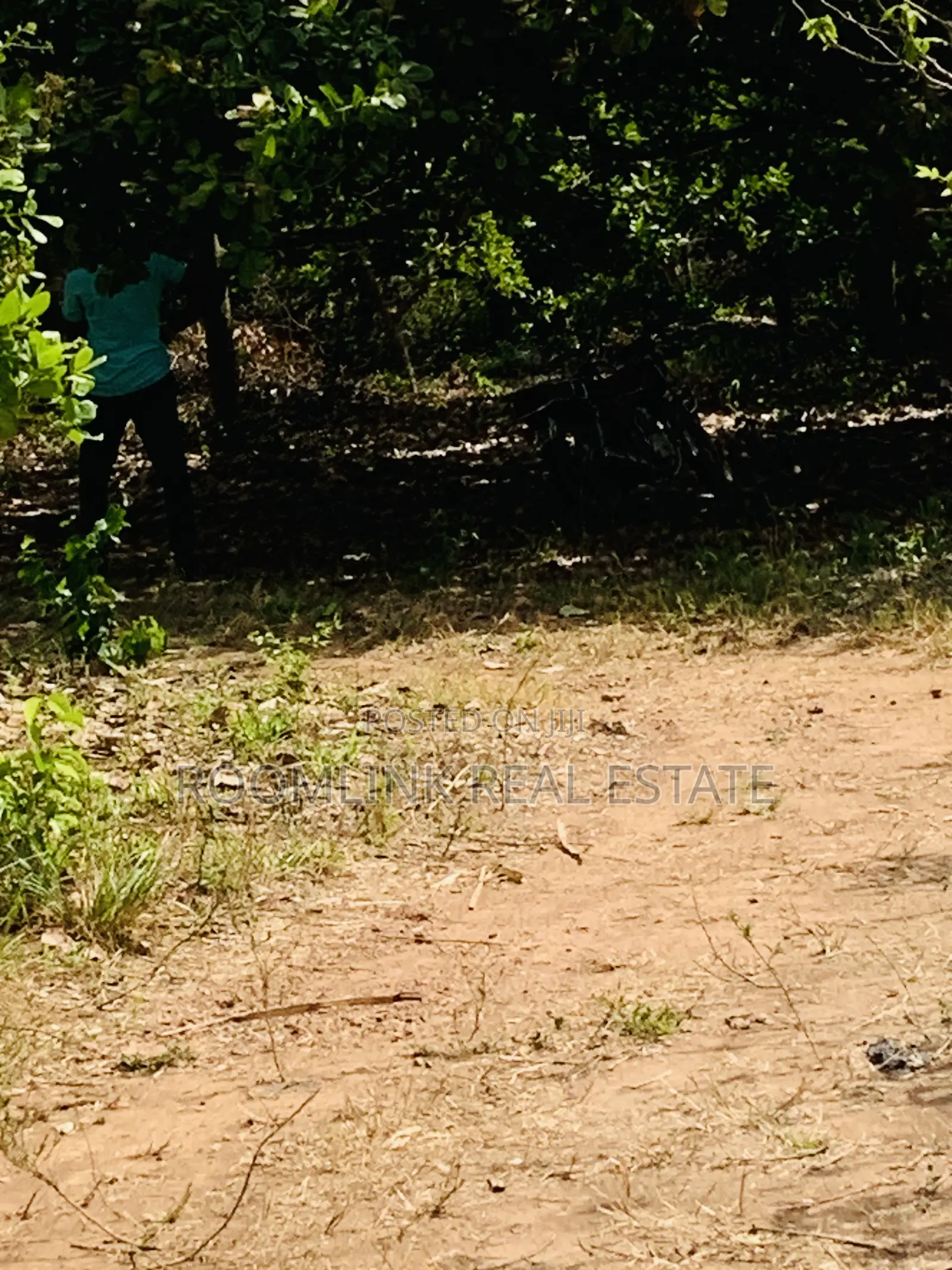 Affordable Land at Sunyani Catholic University Area