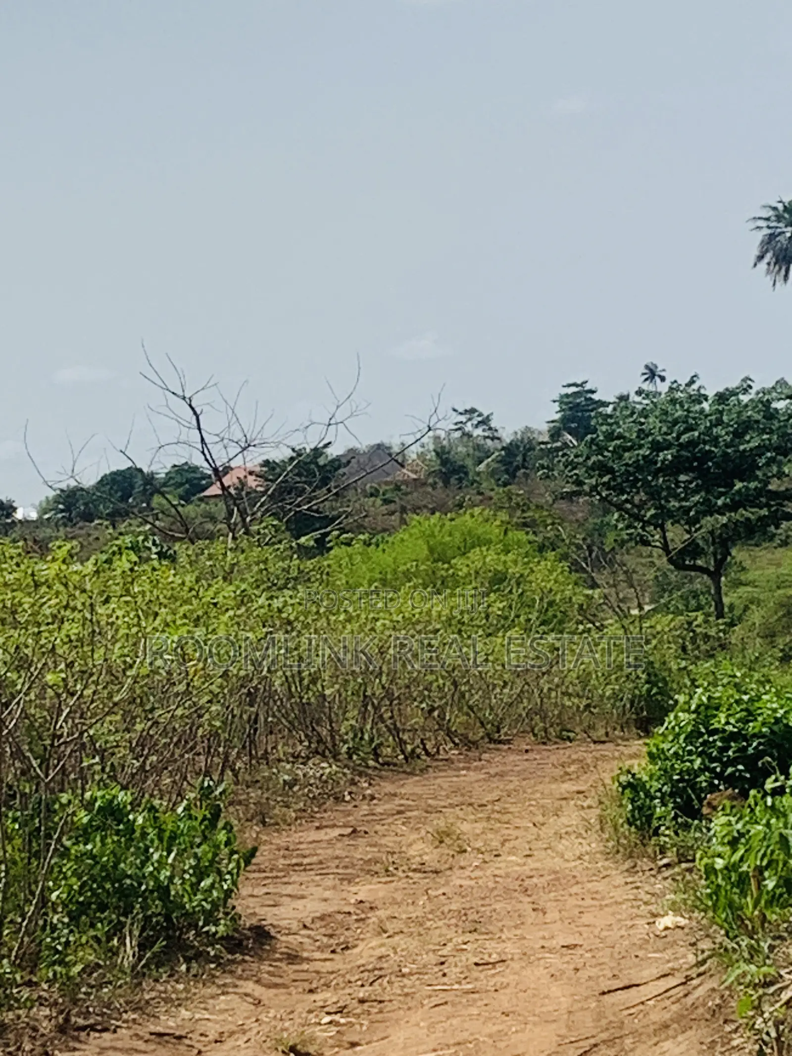 Affordable Land at Sunyani Catholic University Area