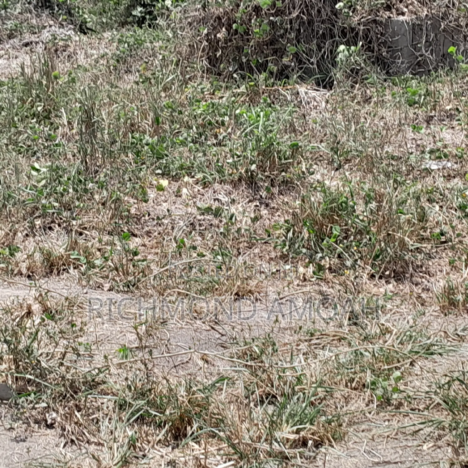 Plot for Sale at Nkroful Phastor