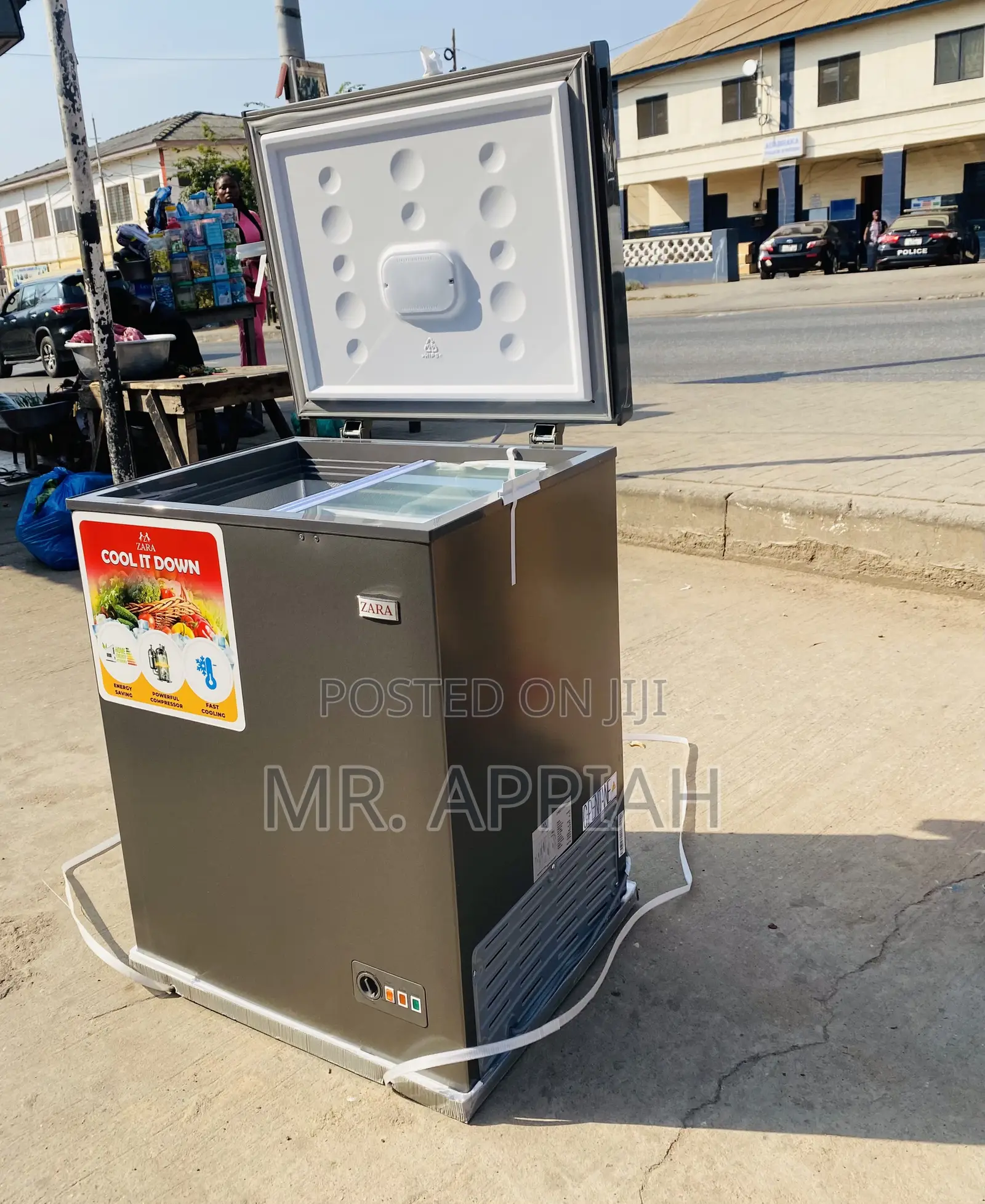 Purchase Quality Zara 260s 1 Door Electric Freezer.