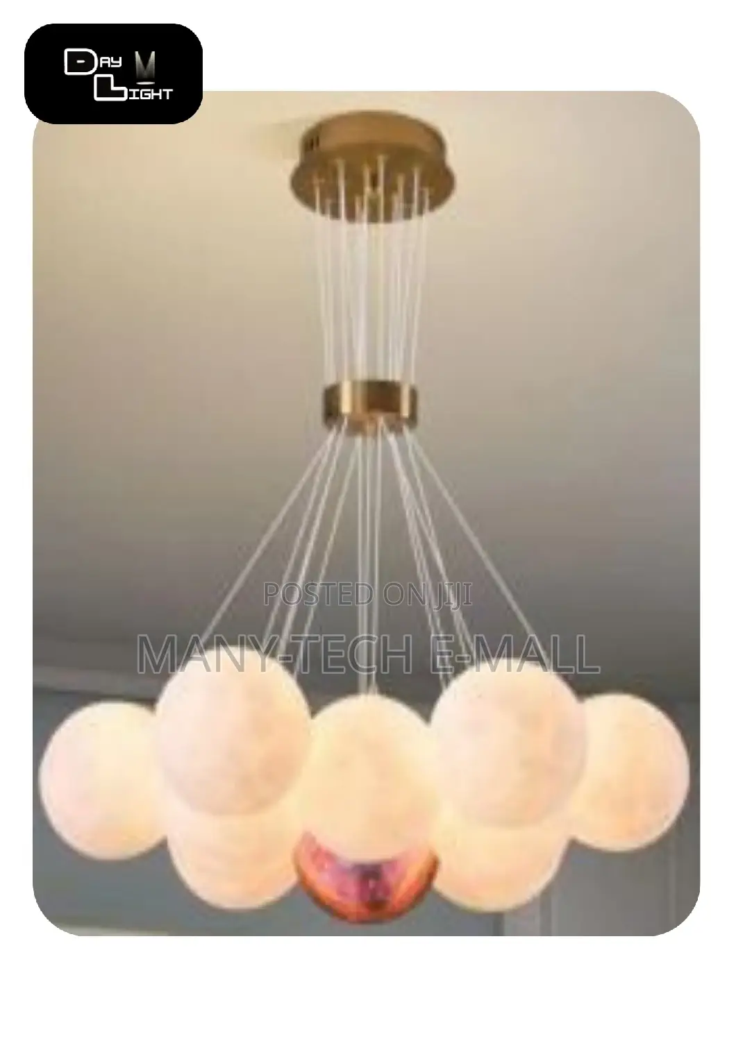 Luxurious Chandelier/ Pendant Light