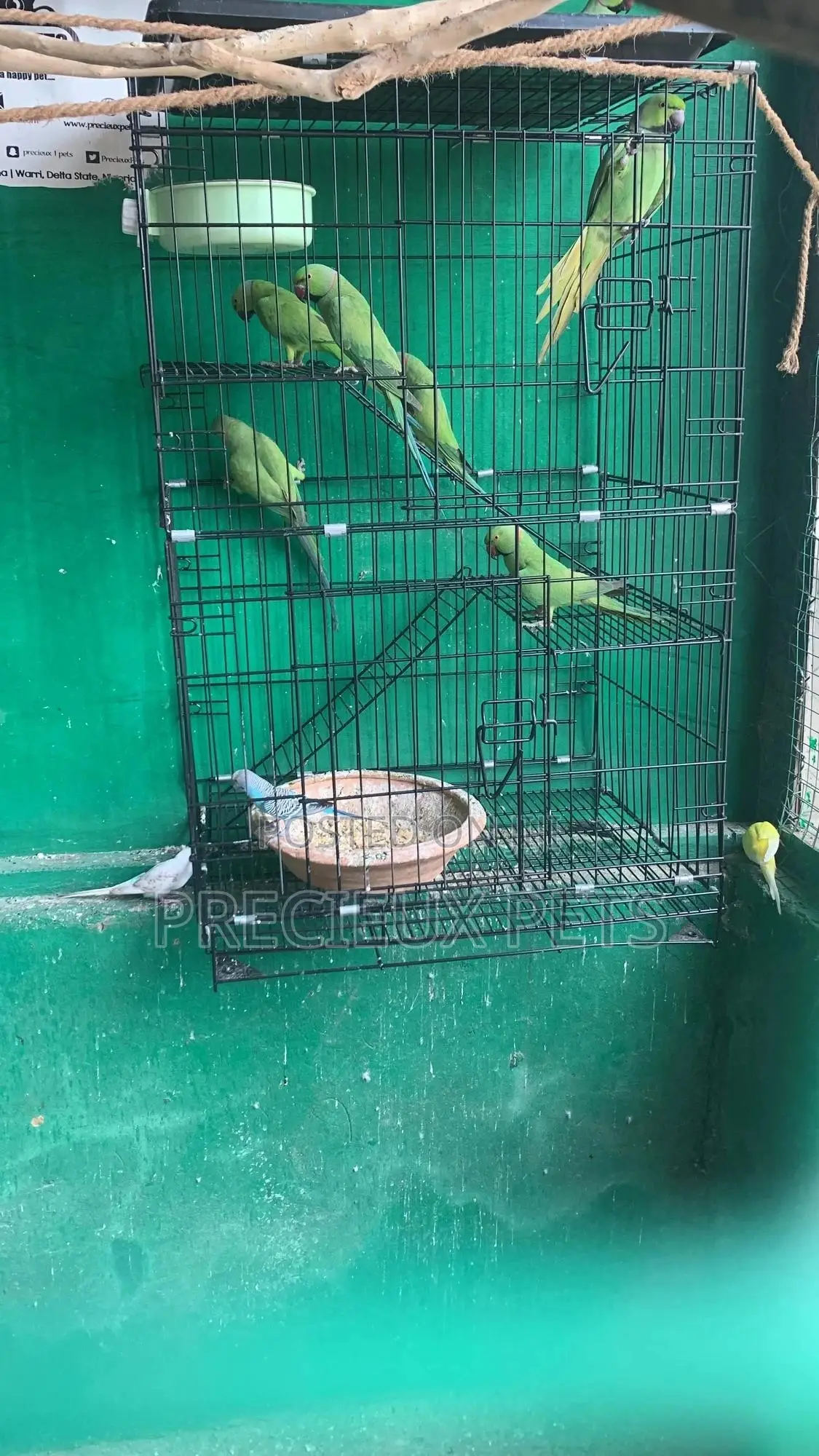 XXXL Parrot Cage