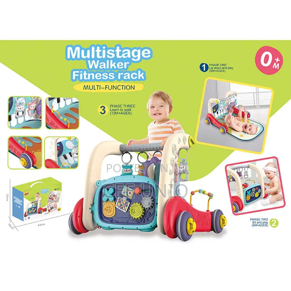 Play Gym and Activity Mat