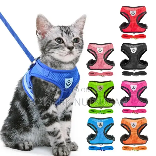 Cat and Dog Chain for Sale