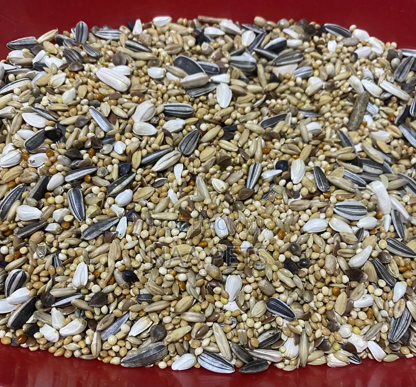 Cockatiel and Love Bird Feed