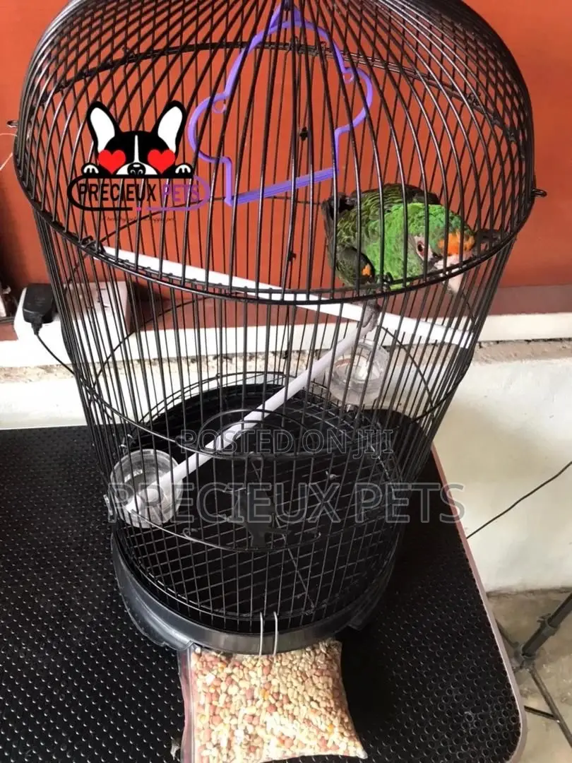 Jardine Parrot Cage Series 0003
