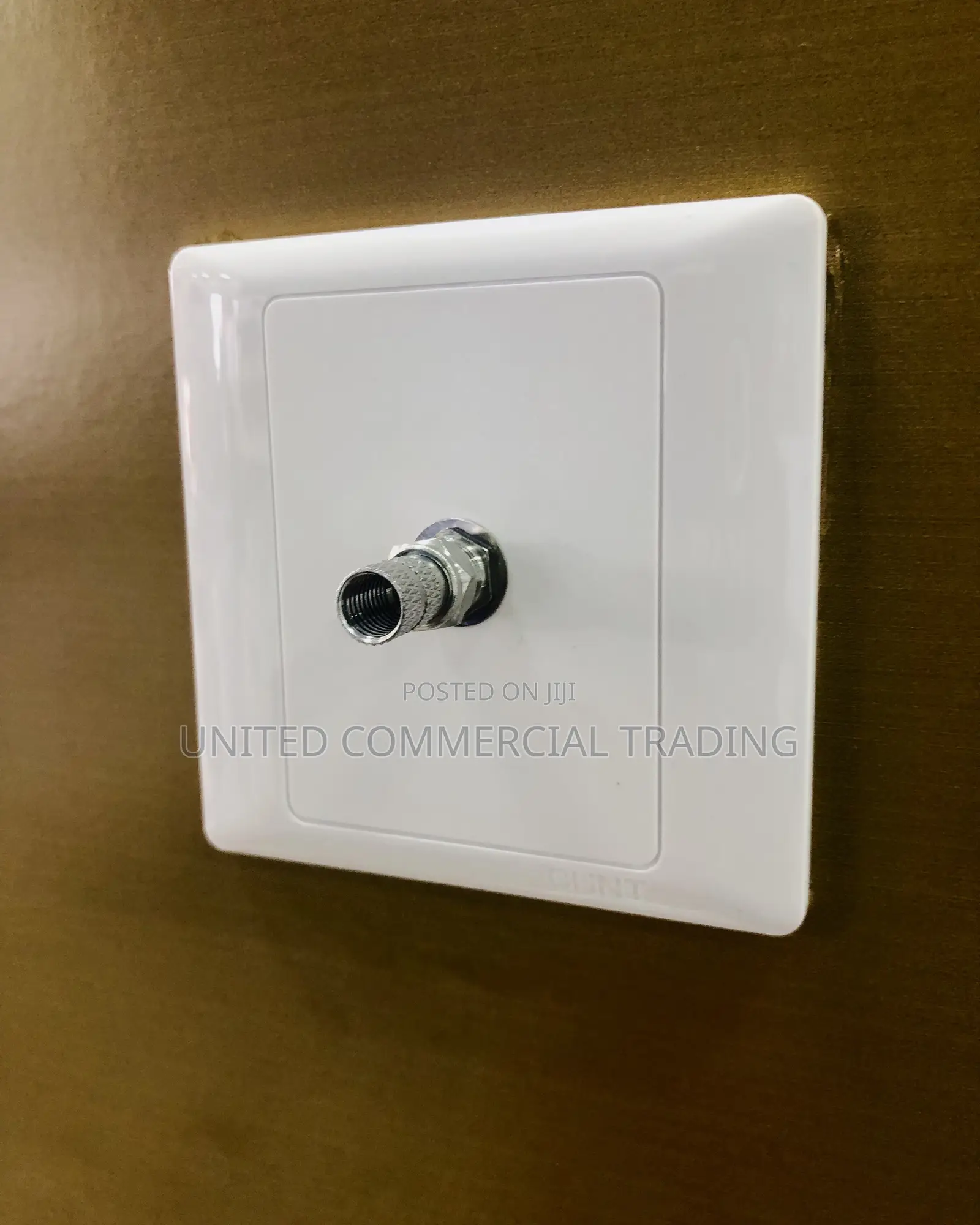 TV Socket (White)