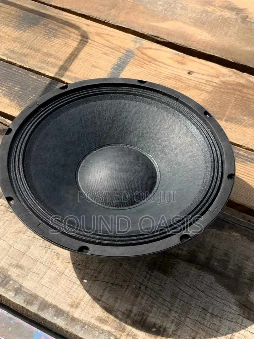 JLD Pw1012 1000watt 12inch Single Magnet Line Array Speaker