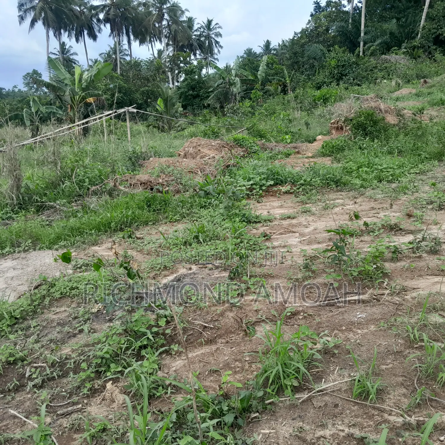 Plot for Sale at Kansa Knust