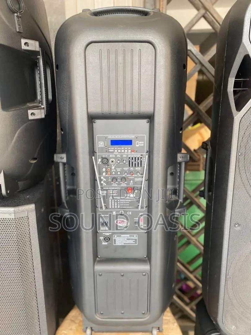 GLS 15"×2 Rechargeable Bluetooth Speaker With Two Microphone