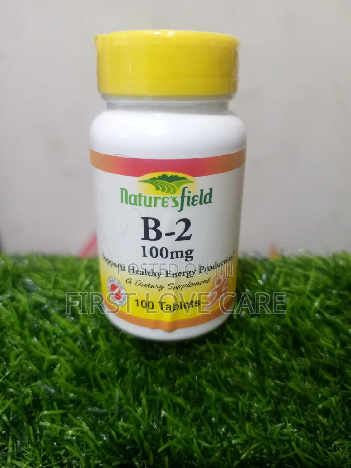 Nature's Field B-2 (Riboflavin) 100mg