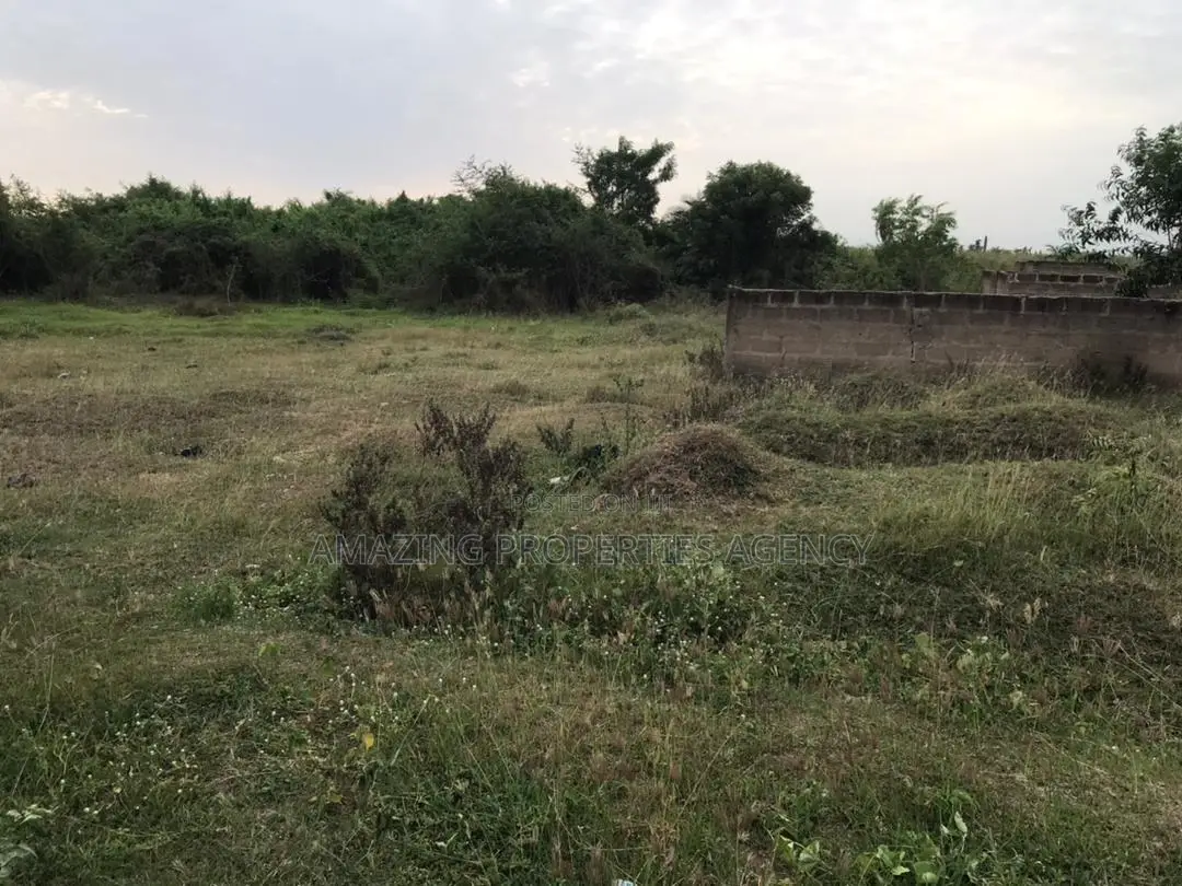 1 and Half Acres of Land at East Airport