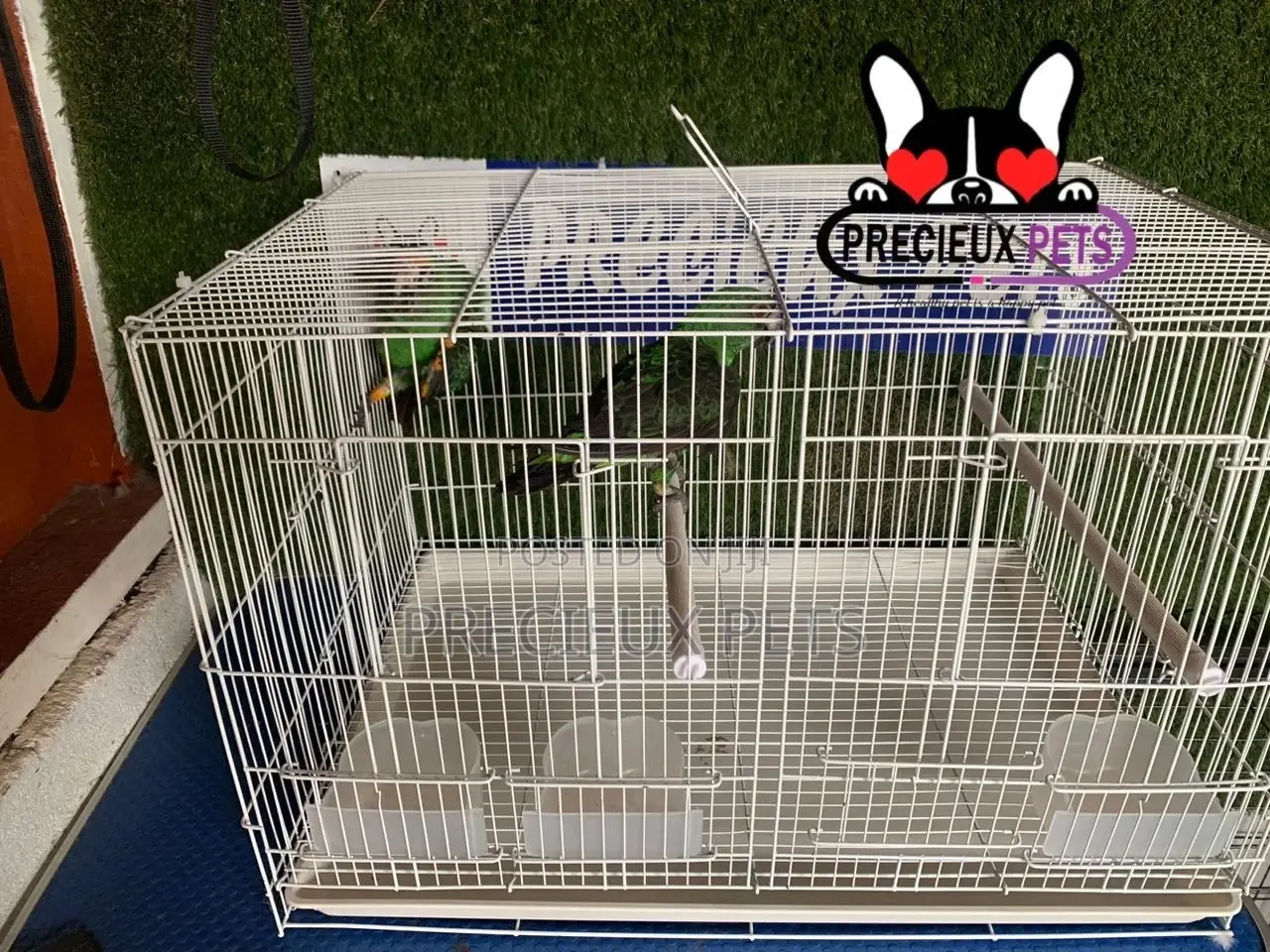 White Jardine Cage for Parrots