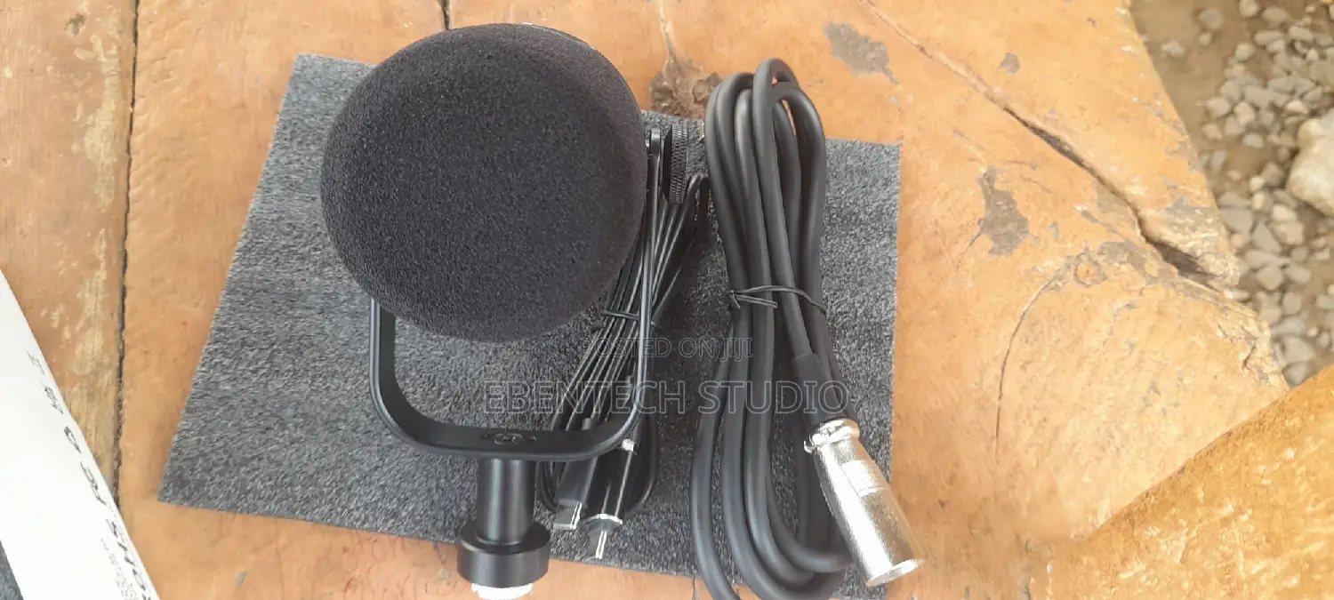 FDUCE Podcast and Studio Microphone