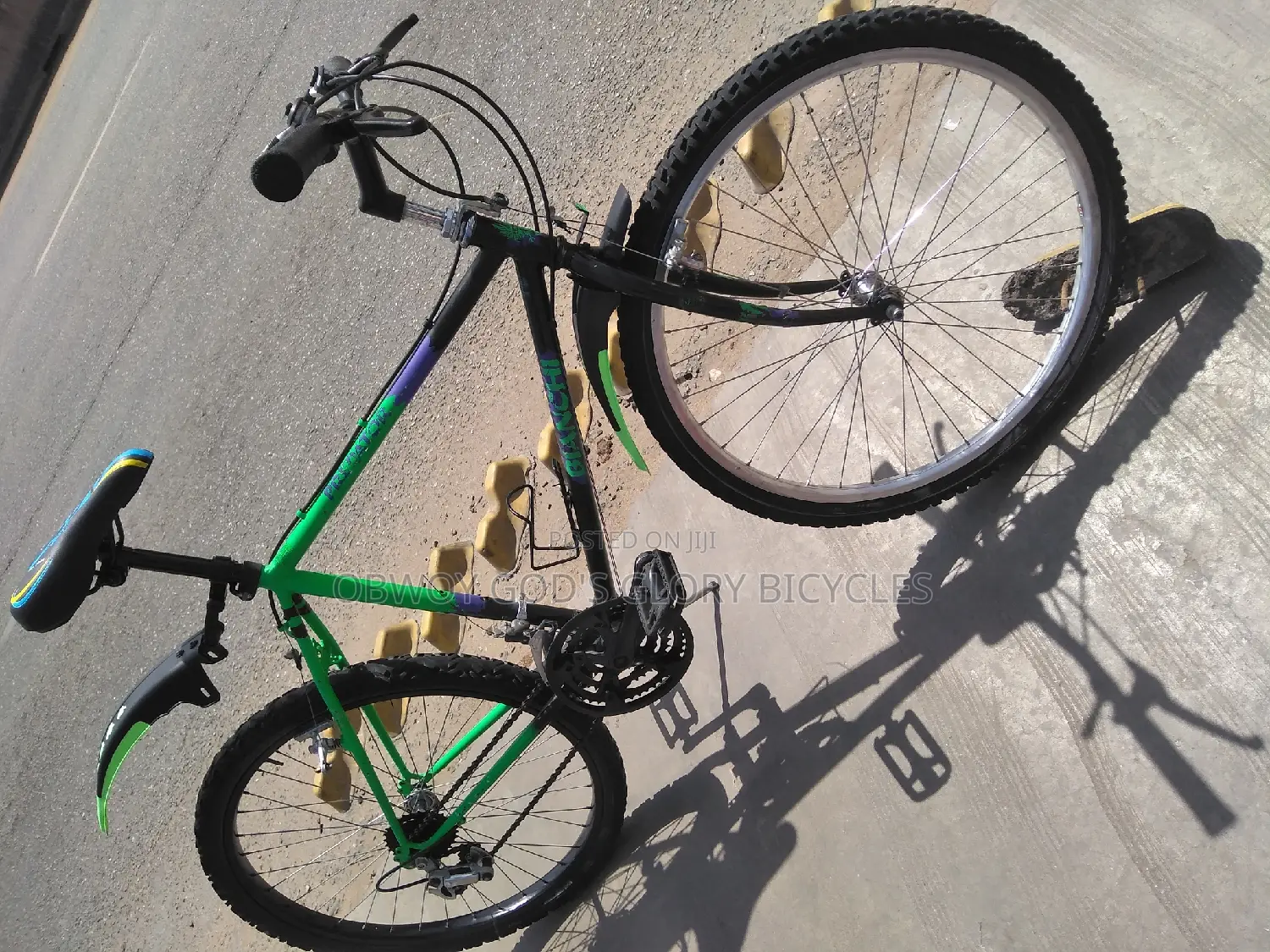 Mountain Multi Colour Bike